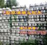 U型环混凝土枕木—国标水泥轨枕