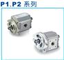P216RP06DT齿轮泵