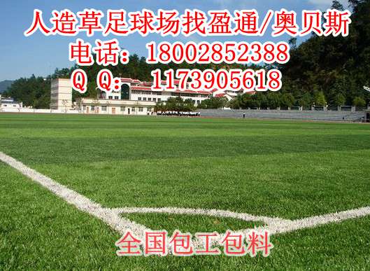 那曲地区阿扎镇申扎县人造草皮足球场,人造草皮足球场价格,足球 那曲地区足球场
