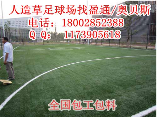 昌都地区申扎镇巴青县人造草皮足球场&nbsp;&nbsp;昌都地区足球场