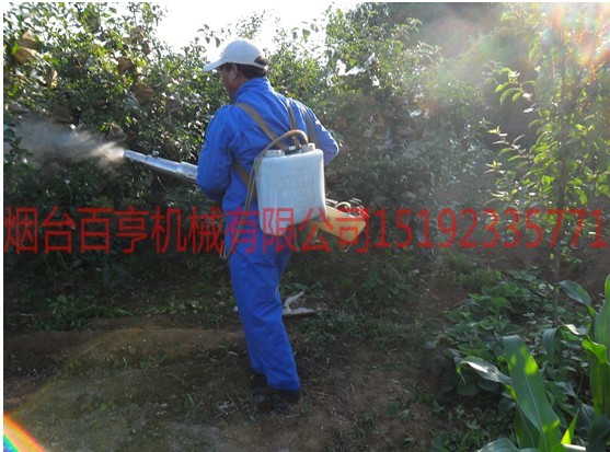 德国技术化油器农用烟雾机价格  弥雾机  打药机