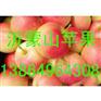 山东红星苹果价格山东红星苹果求购价格