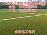 集安市长白朝鲜族自治县足球草坪足球场足球场草坪
