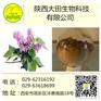 厂家现货供应丁香提取物