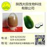 厂家现货供应冬瓜提取物