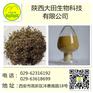 厂家现货供应繁缕提取物