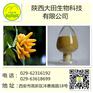 厂家现货供应佛手提取物
