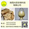 厂家现货供应茯神提取物