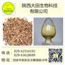 厂家现货供应浮小麦提取物