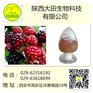 厂家现货供应覆盆子提取物