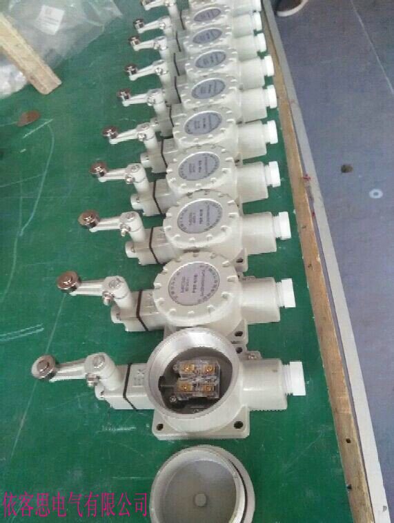 滚轮单摇臂防爆行程开关BZX51-D防爆限位开关  BZX51-6S  BZX51-6N  BZX51-6L