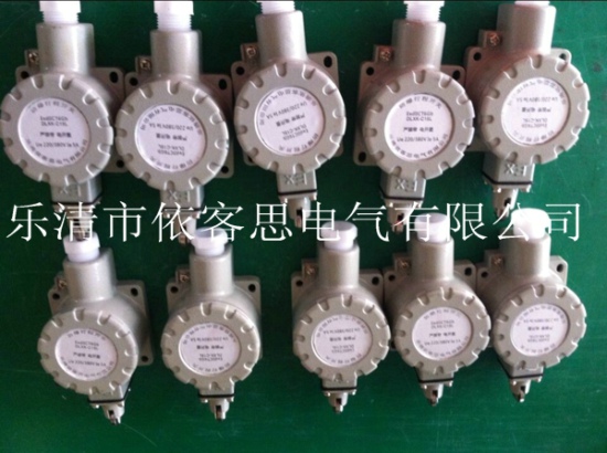 DLXK-15L滚轮柱塞式防爆行程开关IIC级  DLXK-15D  DLXK-15N  DLXK-15S