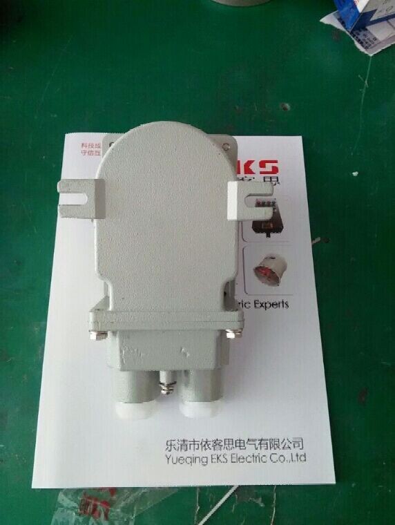 依客思防爆转换开关BHZ69-25/3P电机专用开关  浙江防爆转换开关  江苏防爆转换开关  安徽防爆转换开关