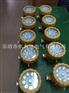 LED防爆视孔灯BAK51-20延时关断时间5分钟