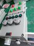 BXX51-2防爆动力检修箱