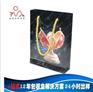 手提袋印刷，货到付款，手提袋印刷热销中，厂家直销 - 手提袋