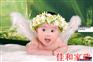 汉口最大保姆公司82885980炎黄家政