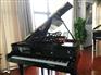 厦门海沧乐器：【推荐】厦门新款乐器