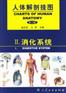 消化系统挂图
