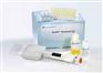 猴子巨噬细胞炎性蛋白1α(MIP-1α/CCL3)ELISA