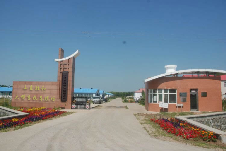 嘉祥县胜和牛羊养殖场