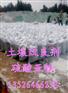 汝州市硫酸亚铁量大价优 荣茂厂家硫酸亚铁价低质量有保障