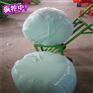 玉米秸秆青贮方法,怎么青贮玉米秸秆