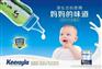 宁波个人德国奶粉进口代理报关费用
