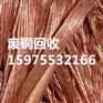 广州市南沙区金岭北路废品回收公司