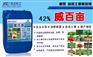 叶丰素叶面肥量大优惠|叶面肥厂家自产自销