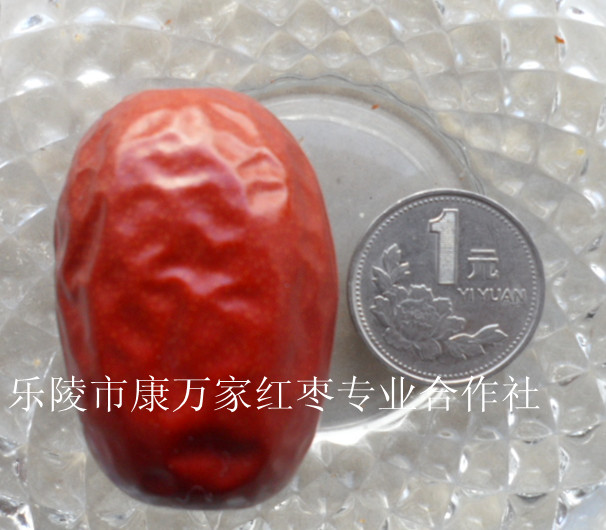 专业新疆大枣/山东大枣产地供应商&nbsp;&nbsp;和田大枣批发价格&nbsp;&nbsp;新疆红枣厂家