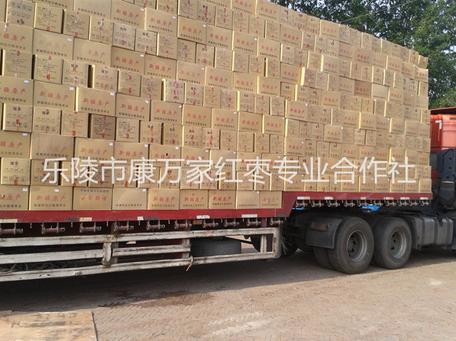 专业新疆大枣/山东大枣产地供应商&nbsp;&nbsp;和田大枣批发价格&nbsp;&nbsp;新疆红枣厂家