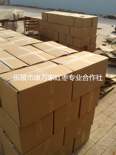 万亩山东大枣产地代办  山东大枣价格  大枣产地供应商  山东金丝枣产地