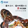 中华鲟鱼的价格孙氏海鲜批发冻鲜佳品