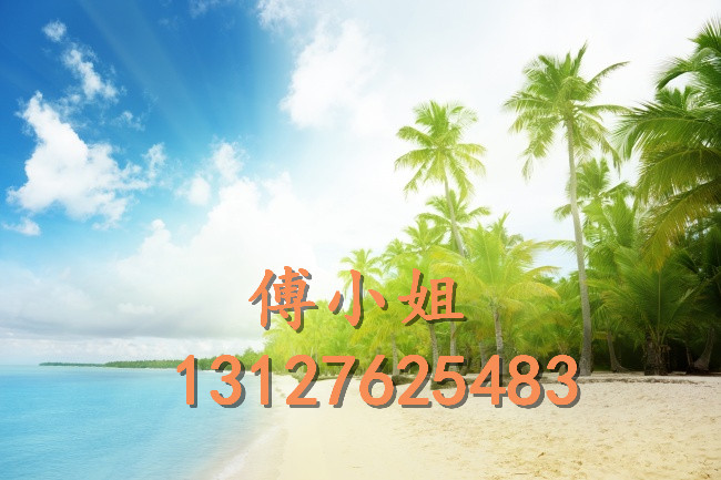 上海进口新加坡果脯海运清关代理公司