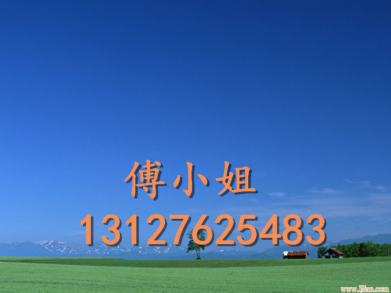 上海进口新加坡果脯海运清关代理公司