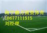 兴业五人制草坪铺设，兴业足球场草坪公司