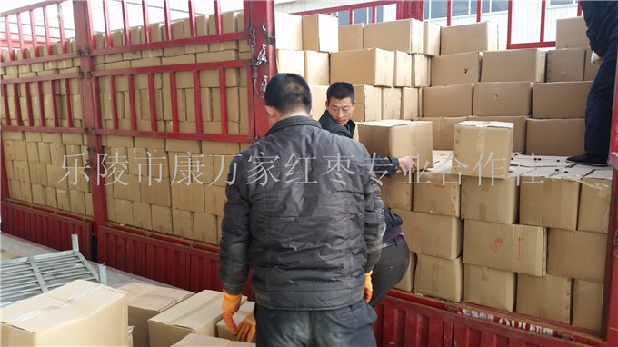 山东大枣的原产地在哪  山东大枣产地厂家  山东大枣产地批发  山东大枣批发价格