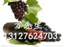 上海自贸区报关清关行费用