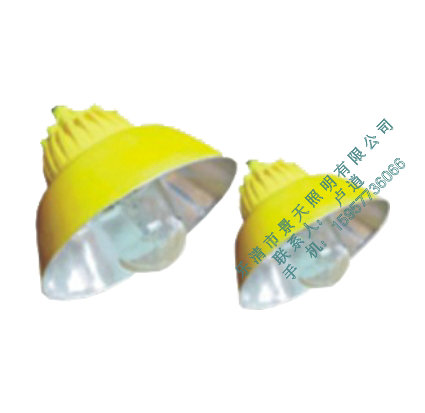 海洋王防爆道路灯BLC8600-N400钠灯400W