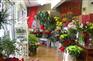 太原鲜花店装修设计公司，太原花店装修价格