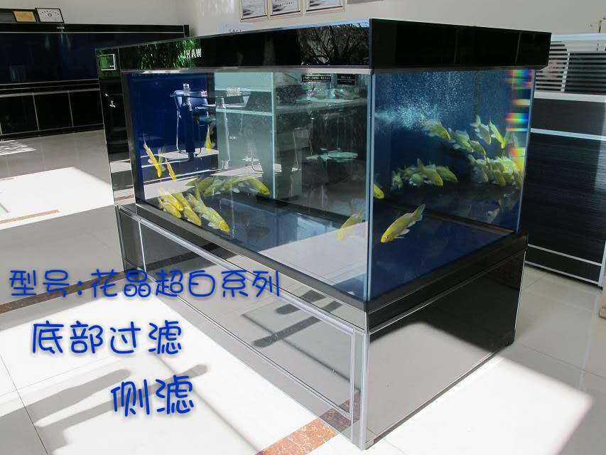 济南清理鱼缸