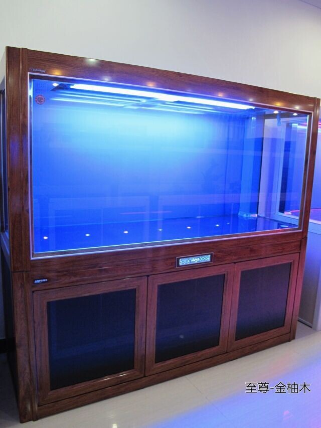 济南水族箱定做