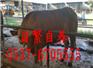 上海肉驴仔价格