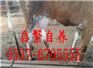 中山小肉牛价格
