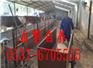 乌鲁木齐肉驴仔价格