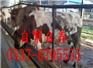 许昌肉驴仔价格