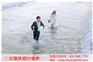水中怎么拍婚纱照