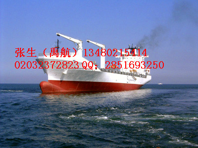 中山到东莞集装箱海运公司 国内海运 内贸海运
