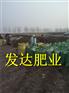 小鸡粪厂家